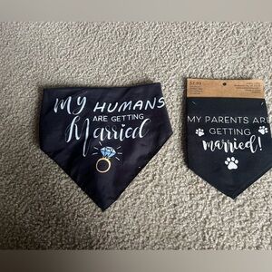 Hobby Lobby Black Wedding Dog Bandana Set - engagement announcement